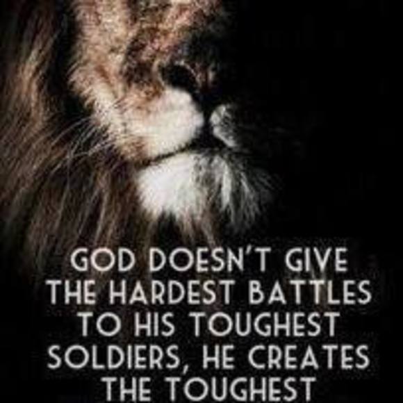 Meet your Posher, Dusty - Picture 1 of 1